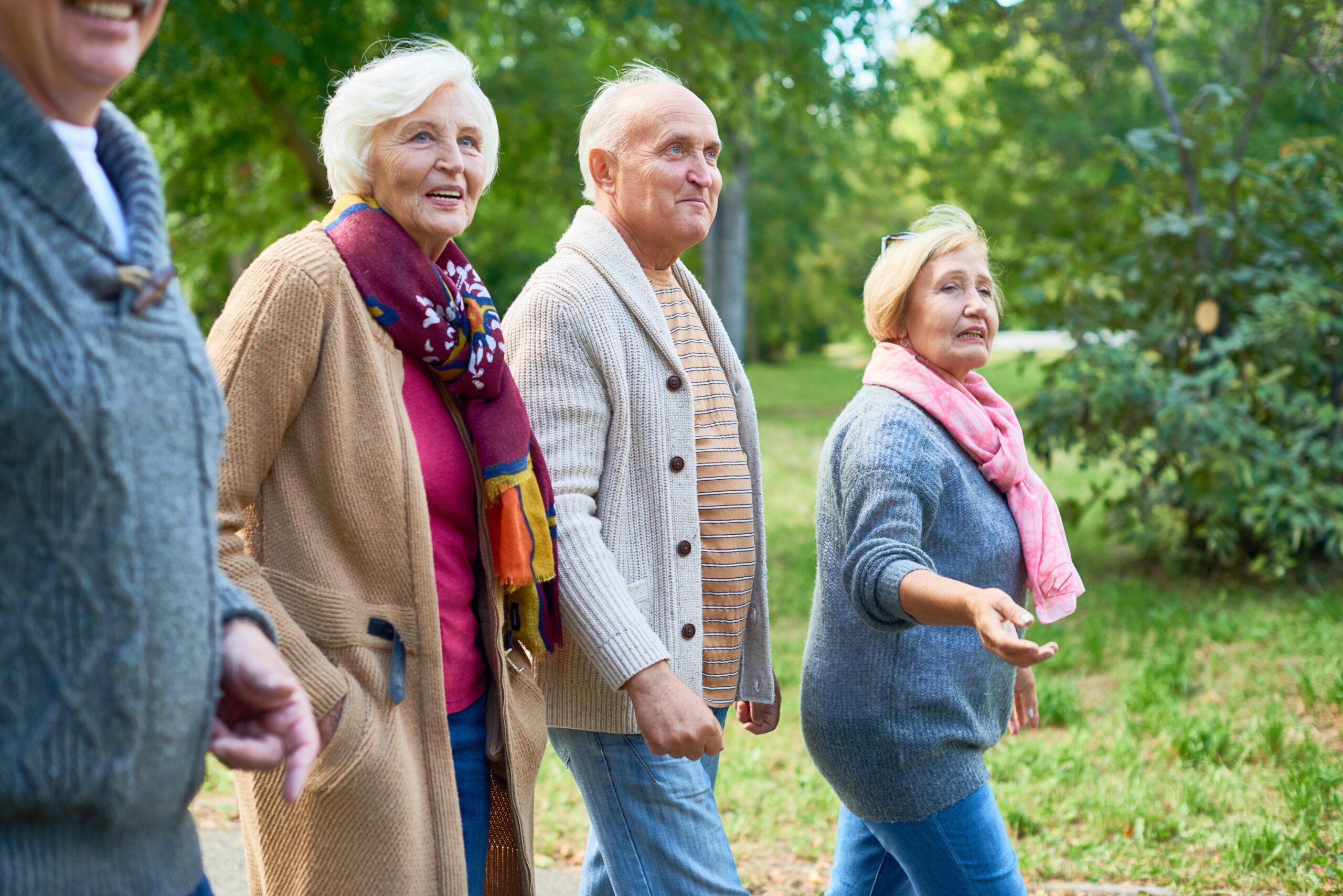 Elderly group walking in a park
