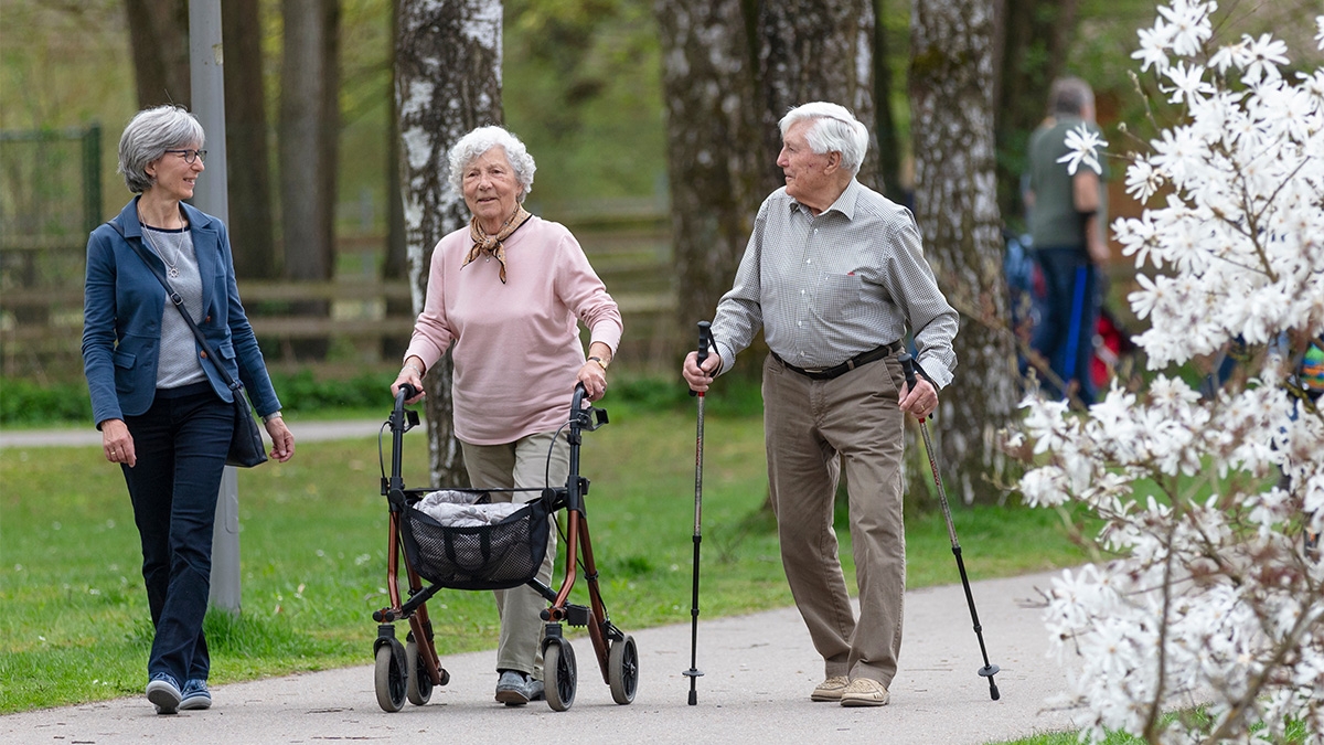 Senior group walking in park with walking aids