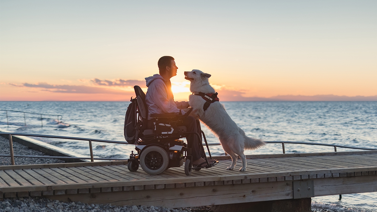 Dog and Man in Powerchair at the beach