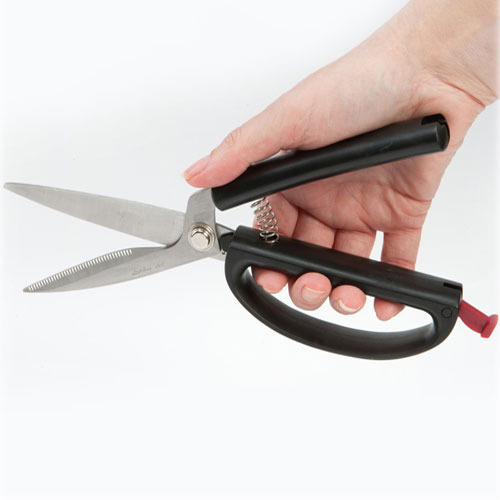 Kitchen Shears